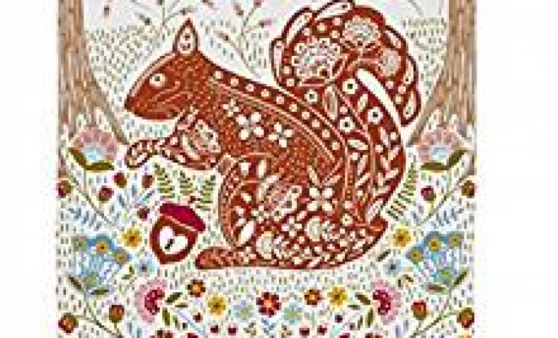 Best Ulster Weavers Kitchen Towels